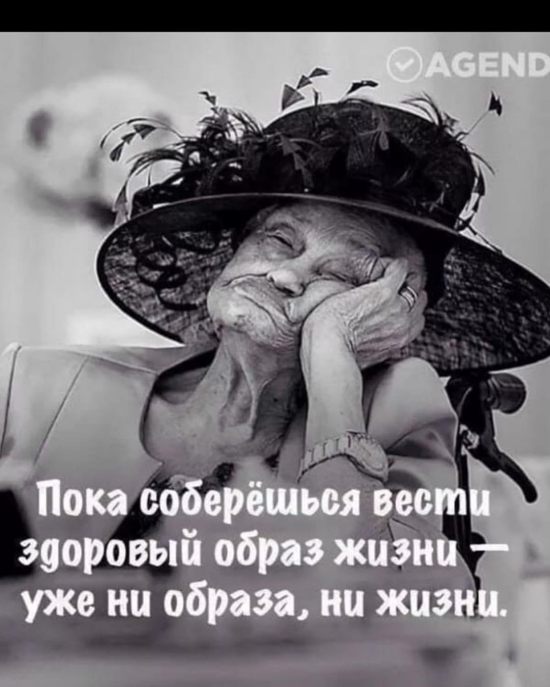 Приколы О Жизни