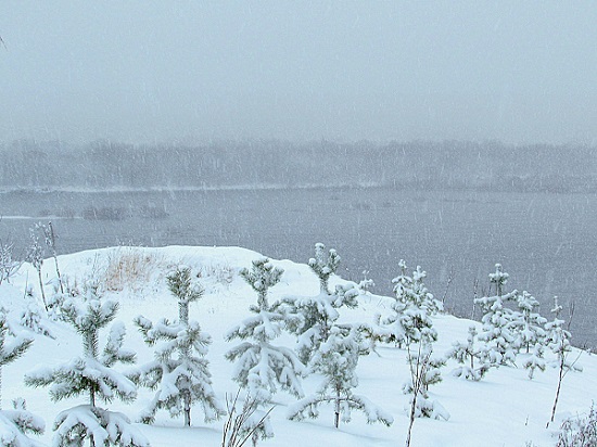 Чудеса зимы