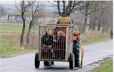 Дума о тройке