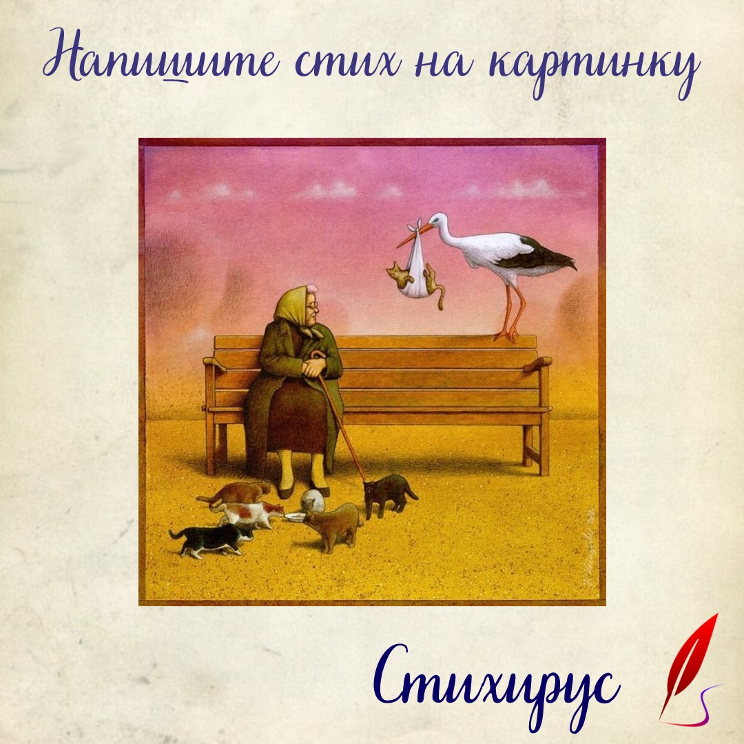 Добрая старушка кормит кошек с блюдца