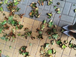 Они вернутся