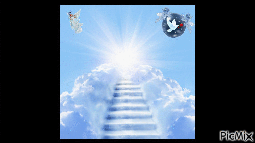 На связи с Творцом?