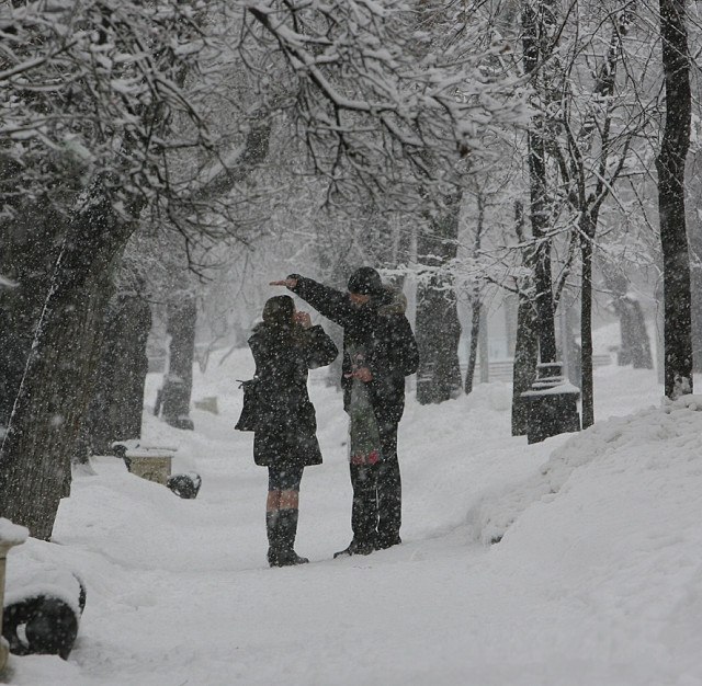 Первый снег