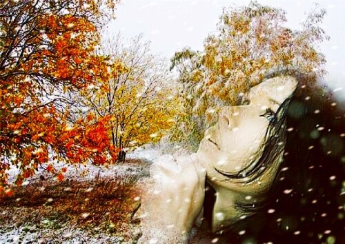 Сегодня первый снег кружился над землей