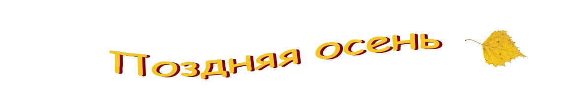 Поздняя осень