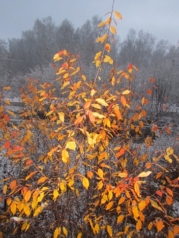 Тепло ли тебе, нежная?