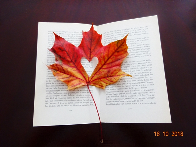 Живу - настоящим...