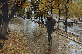 Пришли дожди