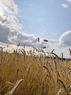 Мне кажется