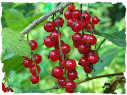 Бусинка на ниточке