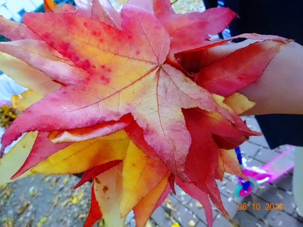 Гордость - не смертельный грех!