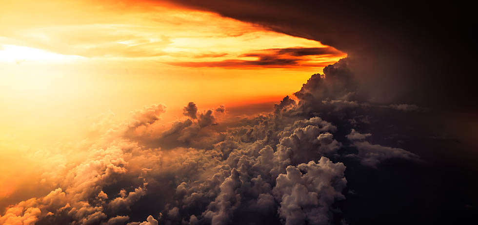 Сон предрекал