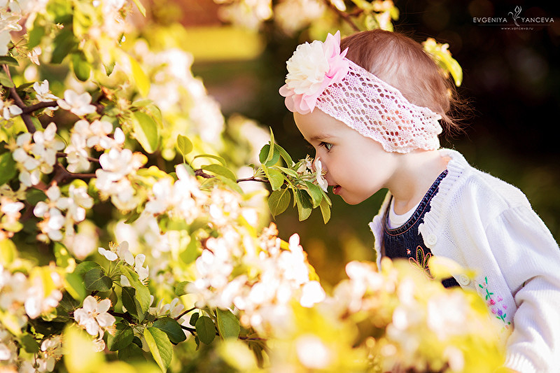 Положите -на дорожку, мне в ладошку свет земной!