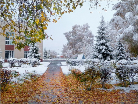 Две Красоты