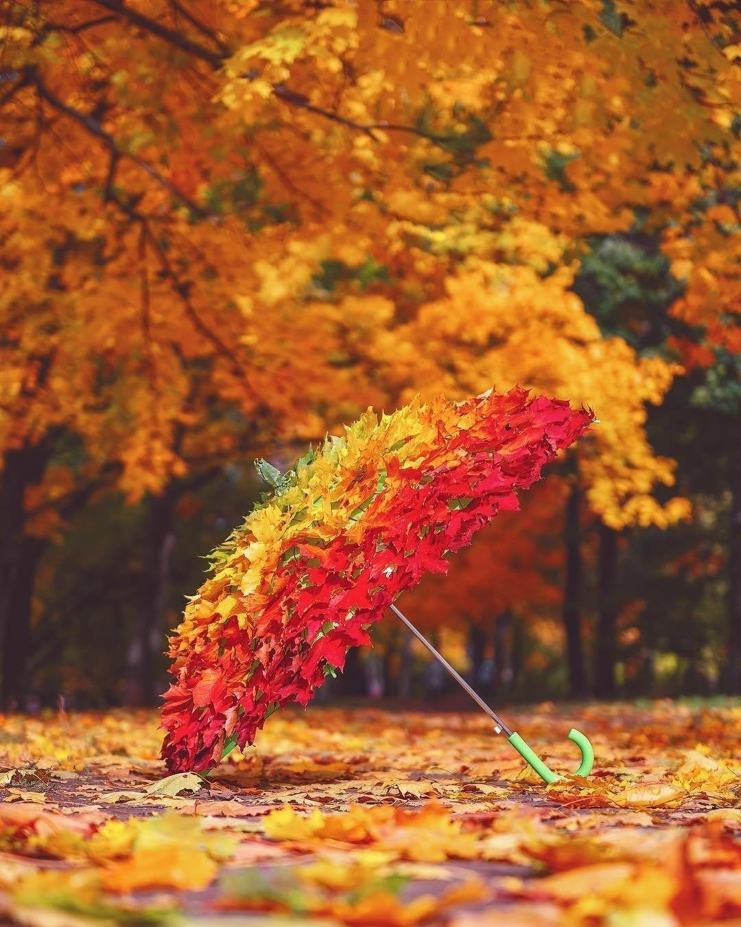 Осень картинки