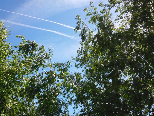 Самолёты, самолёты...