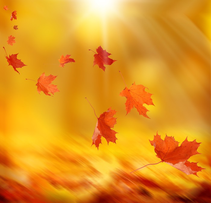 Осенняя зарисовка...