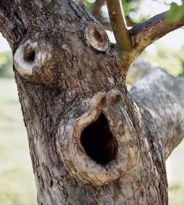 Кричащее дерево
