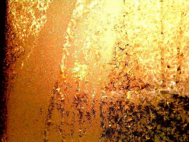 Я завернулась в жёлтый звонкий лист