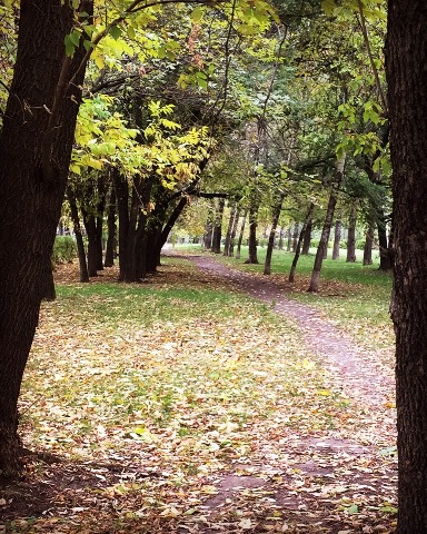 И вот оно случилось...