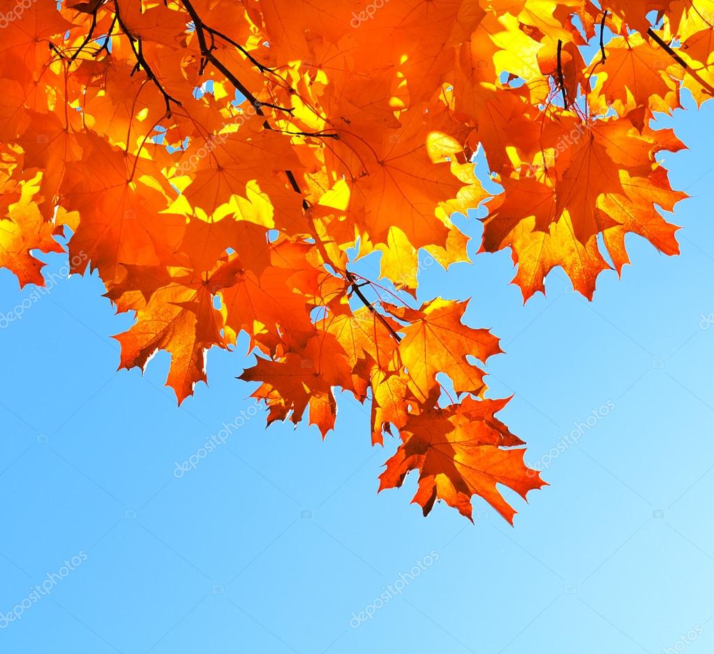 Удивительные нынче стоят погоды