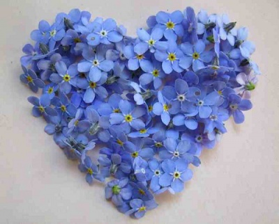 Дорожку перешла...