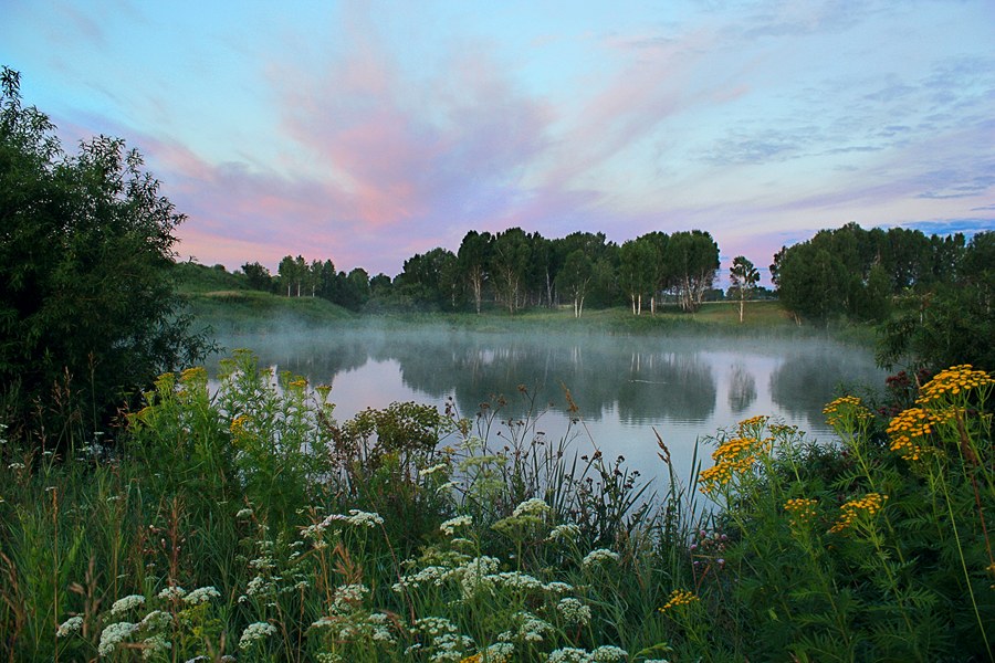 Сутки Жизни