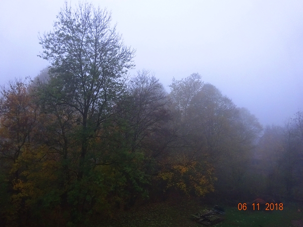 Такая вот - тема!