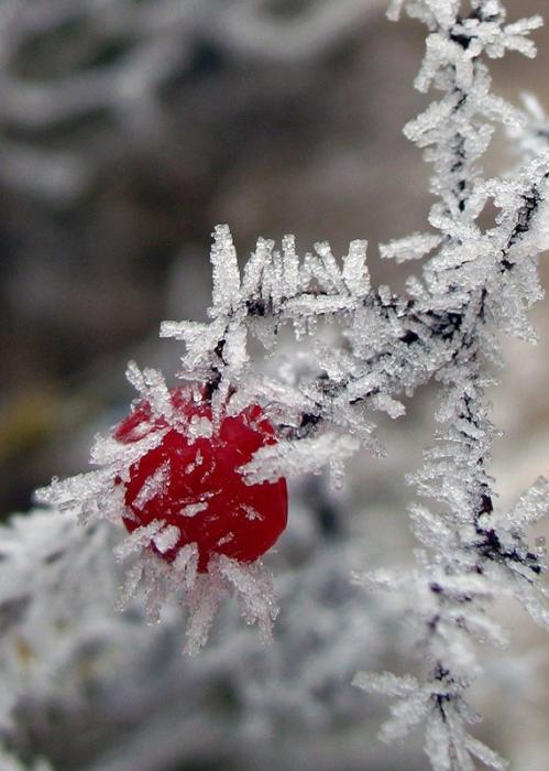 Пришла зима...