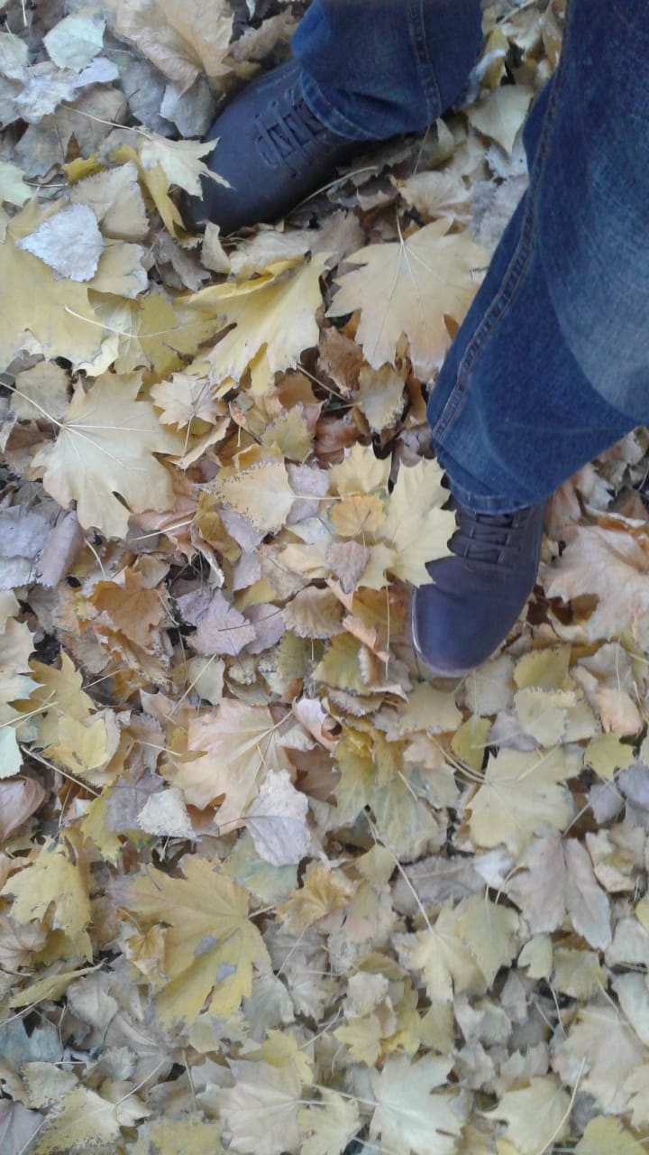 Букет-буклет от Осени. Цикл