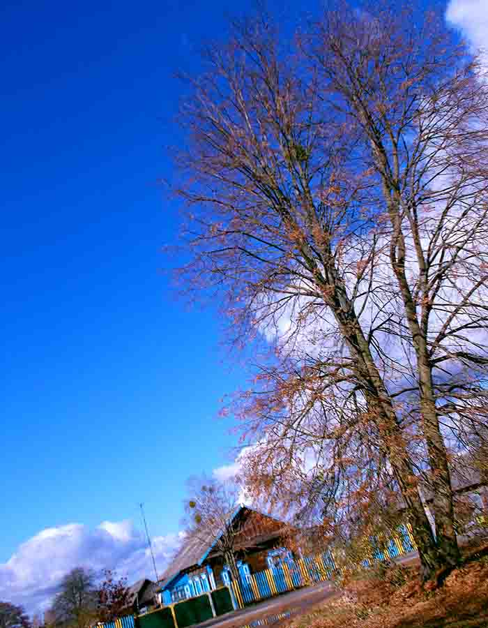 Поздравляю, виньшую Русь