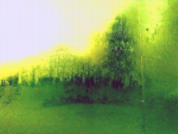 Выйдем рано по утру