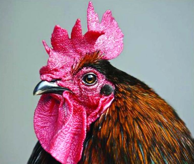 Жили просто, неумело