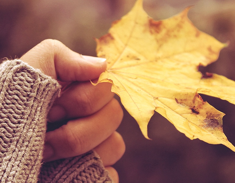 Спасибо за осень