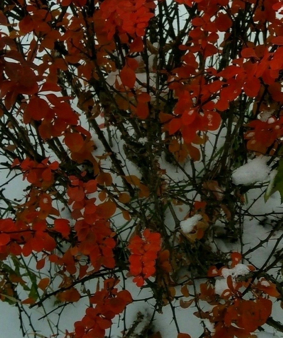 Снег второй