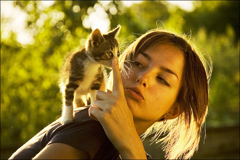 Только Муркам