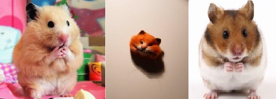 Хомяк на холодильнике