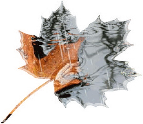 В преддверии сказки