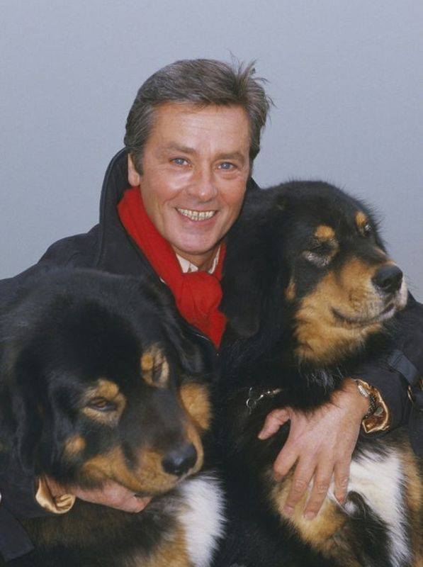 О Любви к собакам