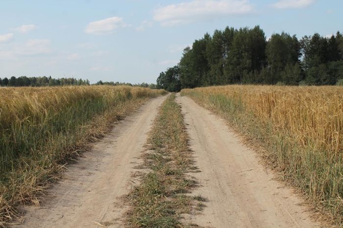 Кто меру счастья назначал!?