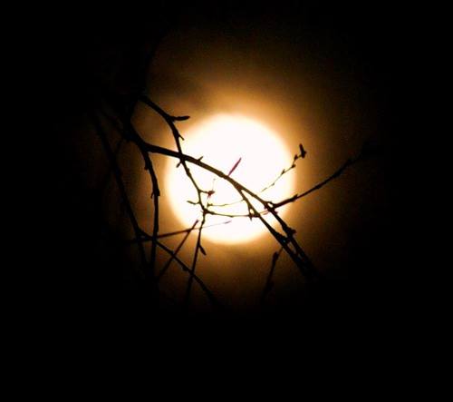 Полная луна