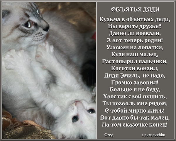 Объятья дяди