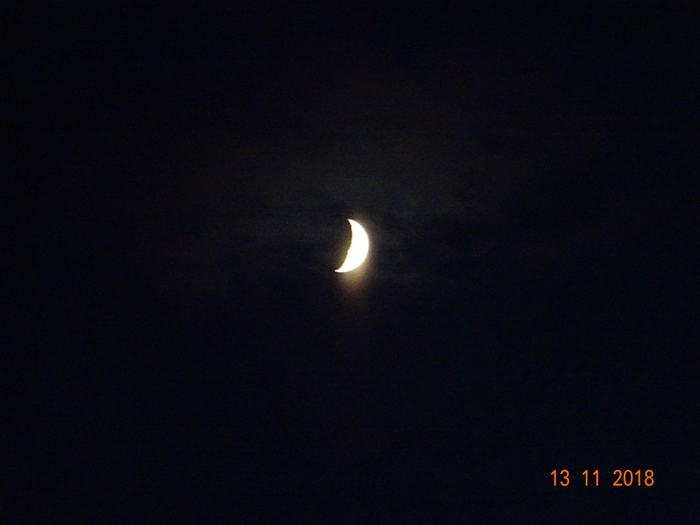 Серьёзный вахтёр...