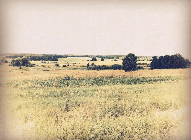 И я на миг остановлюсь