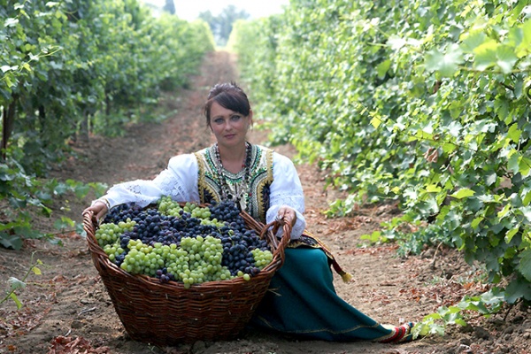 Казачка - мать