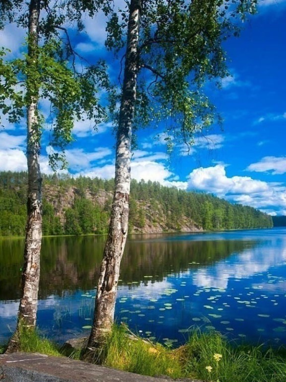 Чудеса вокруг...