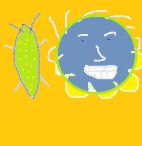 тараканы и бомжи