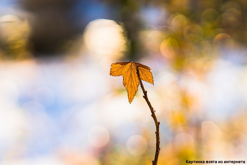 60. Прощальное письмо
