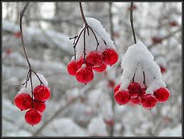 Этот ноябрь...