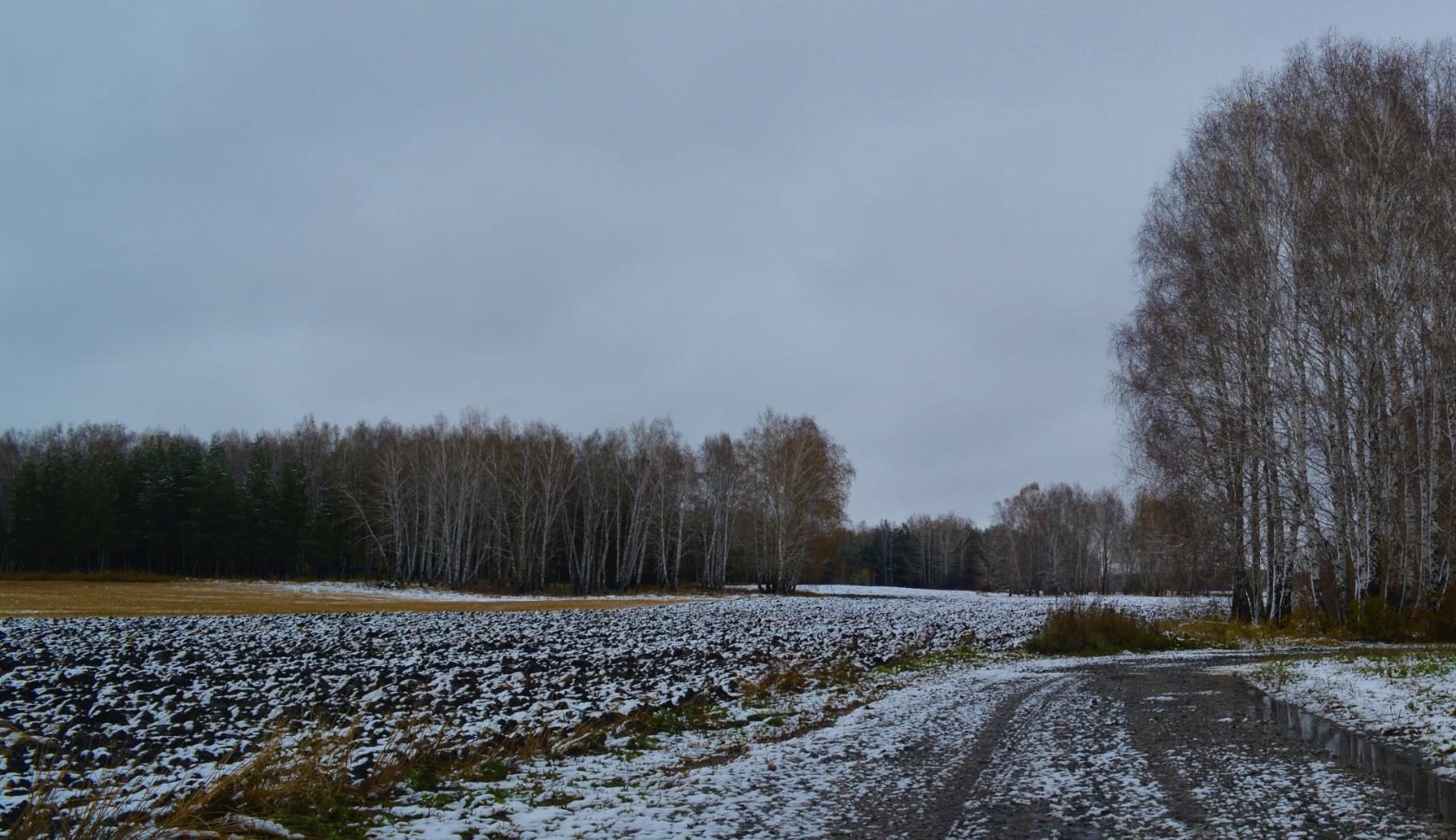 Поздняя осень в деревне
